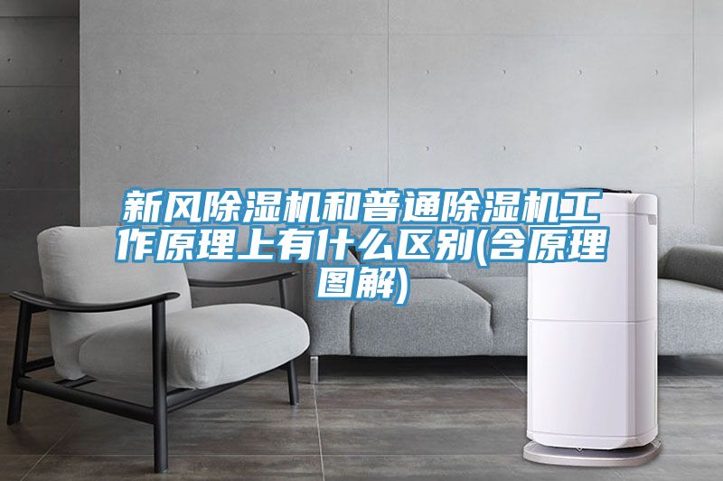 新风除湿机和普通除湿机工作原理上有什么区别(含原理图解)