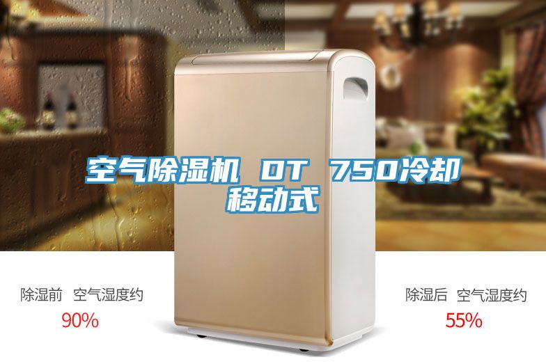 空气除湿机 DT 750冷却移动式