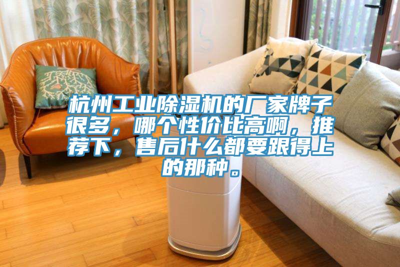 杭州工业除湿机的厂家牌子很多，哪个性价比高啊，推荐下，售后什么都要跟得上的那种。