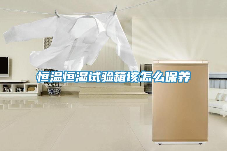 恒温恒湿试验箱该怎么保养