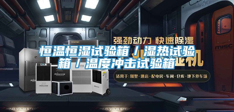 恒温恒湿试验箱／湿热试验箱／温度冲击试验箱