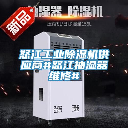 怒江工业除湿机供应商#怒江抽湿器维修#