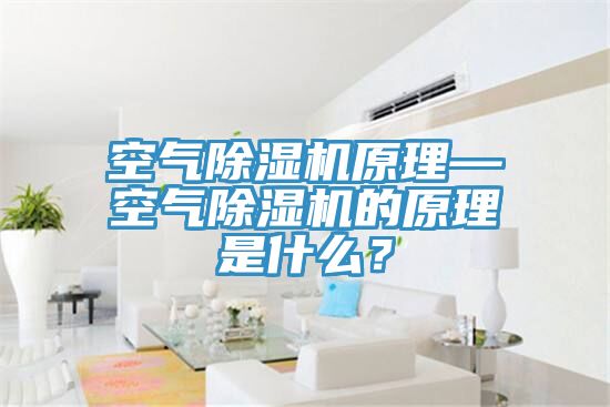空气除湿机原理—空气除湿机的原理是什么？