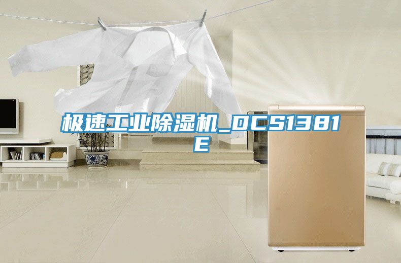 极速工业除湿机_DCS1381E