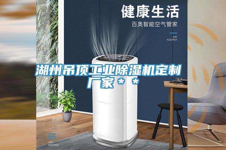 湖州吊顶工业除湿机定制 厂家＊＊