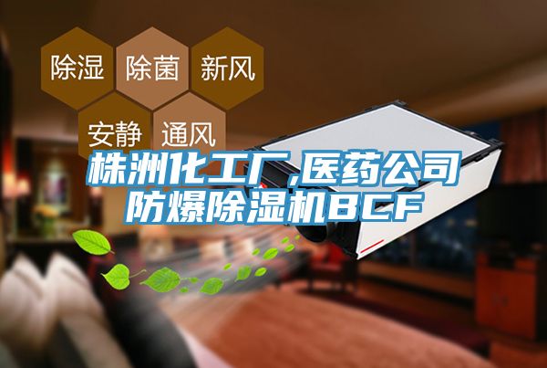 株洲化工厂,医药公司防爆除湿机BCF