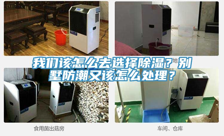 我们该怎么去选择除湿？别墅防潮又该怎么处理？