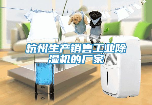 杭州生产销售工业除湿机的厂家