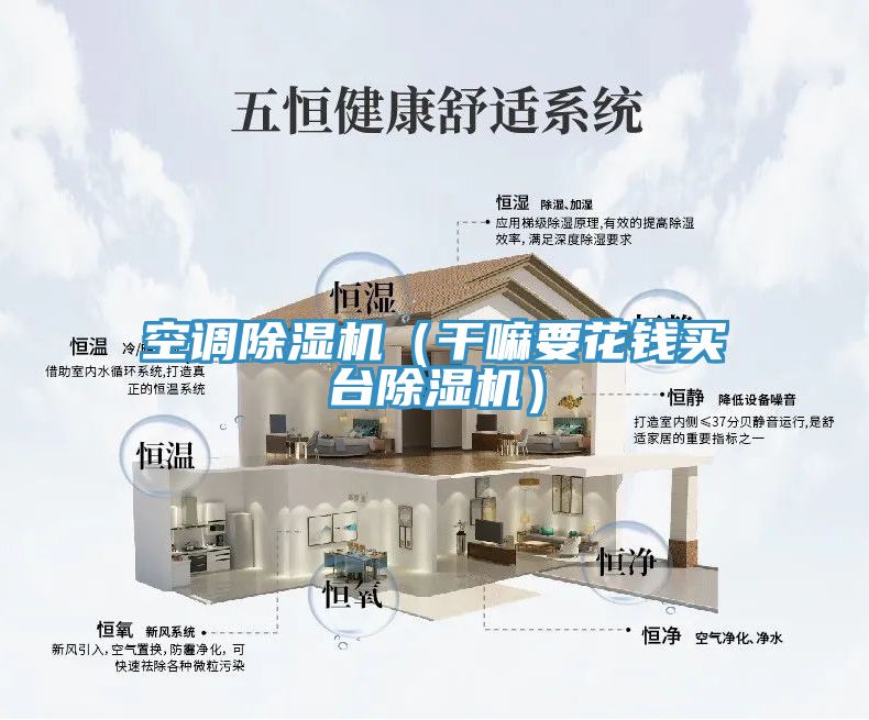 空调除湿机（干嘛要花钱买台除湿机）