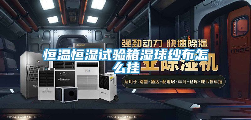 恒温恒湿试验箱湿球纱布怎么挂