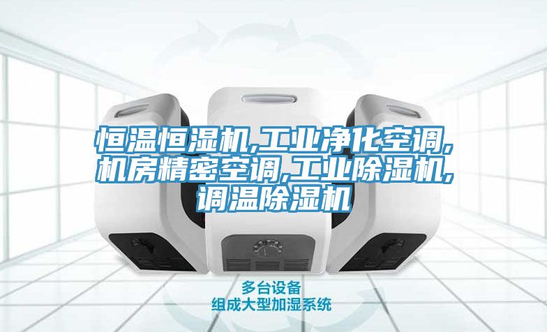 恒温恒湿机,工业净化空调,机房精密空调,工业除湿机,调温除湿机