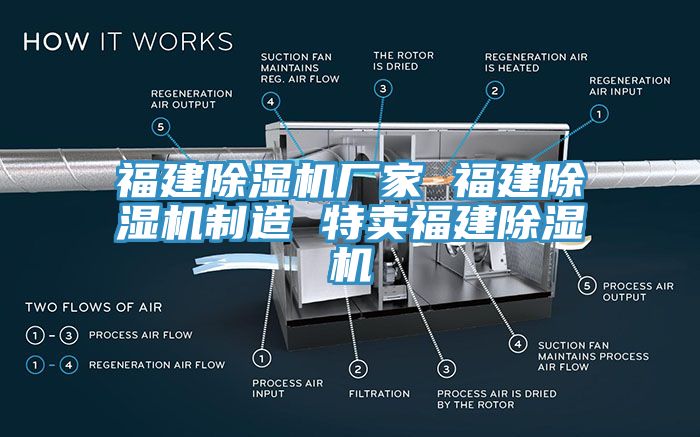 福建除湿机厂家 福建除湿机制造 特卖福建除湿机