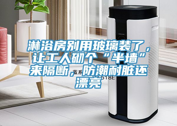 淋浴房别用玻璃装了，让工人砌个“半墙”来隔断，防潮耐脏还漂亮