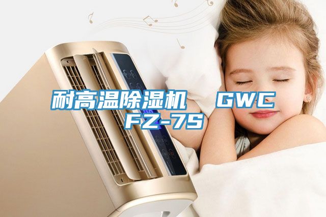 耐高温除湿机  GWCFZ-7S