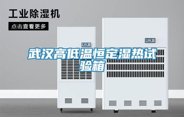 武汉高低温恒定湿热试验箱