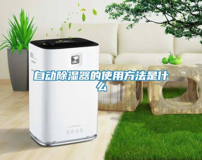 自动除湿器的使用方法是什么