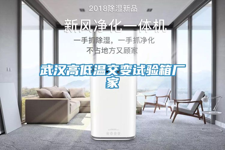 武汉高低温交变试验箱厂家