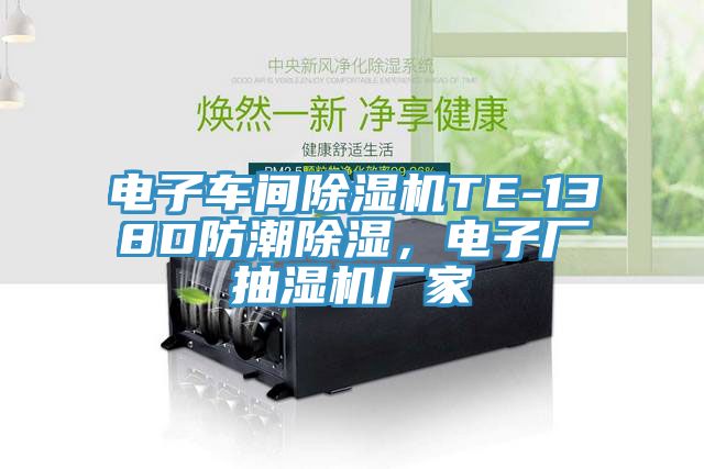 电子车间除湿机TE-138D防潮除湿，电子厂抽湿机厂家