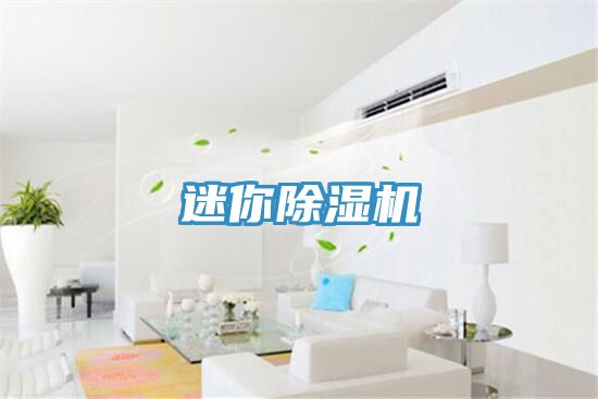 迷你除湿机