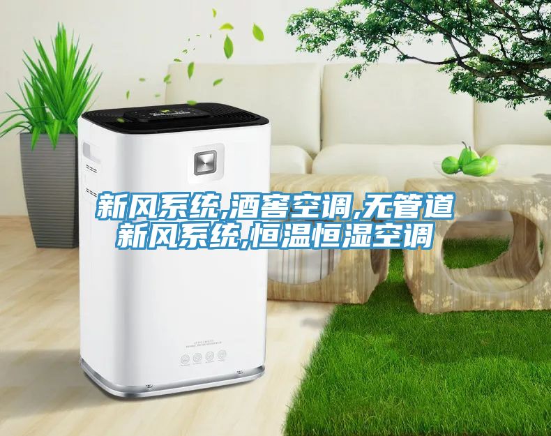 新风系统,酒窖空调,无管道新风系统,恒温恒湿空调
