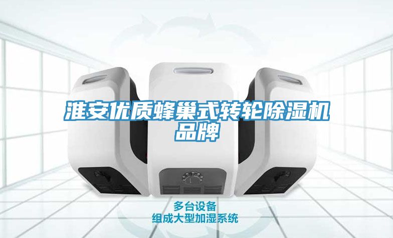 淮安优质蜂巢式转轮除湿机品牌