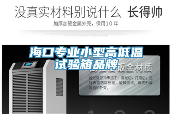 海口专业小型高低温试验箱品牌