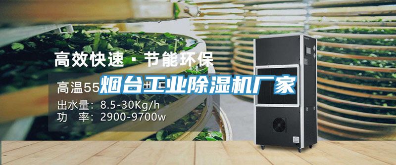烟台工业除湿机厂家