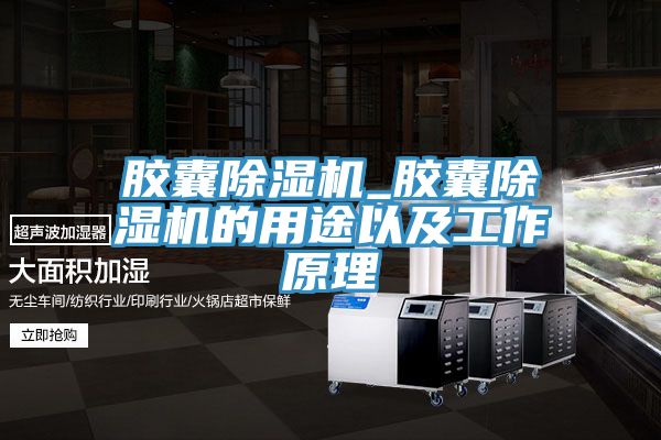 胶囊除湿机_胶囊除湿机的用途以及工作原理