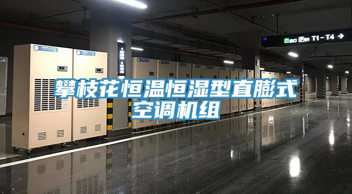 攀枝花恒温恒湿型直膨式空调机组