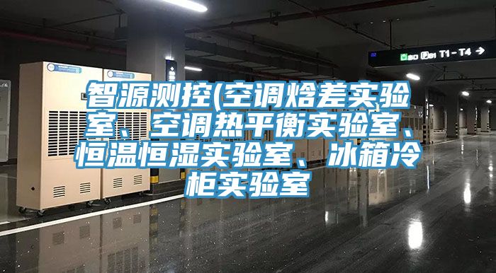 智源测控(空调焓差实验室、空调热平衡实验室、恒温恒湿实验室、冰箱冷柜实验室