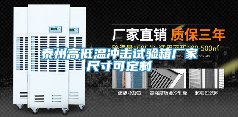泰州高低温冲击试验箱厂家尺寸可定制