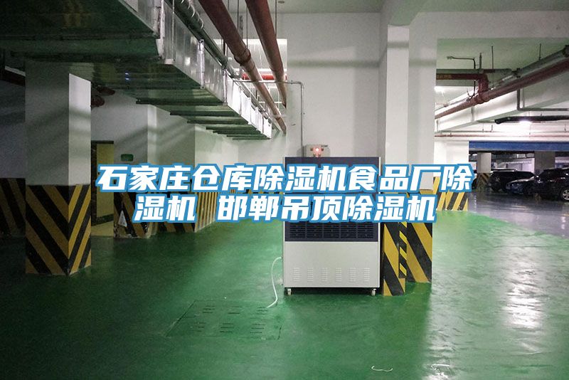 石家庄仓库除湿机食品厂除湿机 邯郸吊顶除湿机