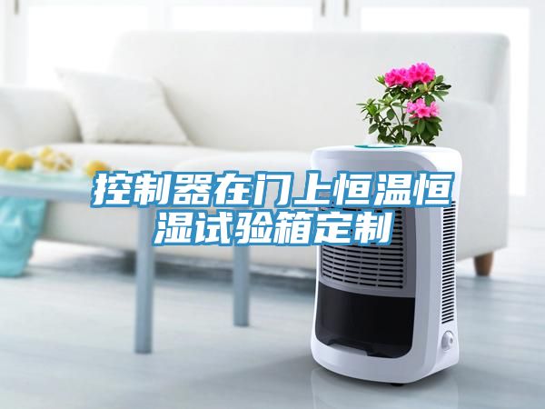 控制器在门上恒温恒湿试验箱定制