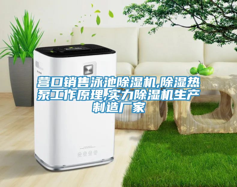 营口销售泳池除湿机,除湿热泵工作原理,实力除湿机生产制造厂家