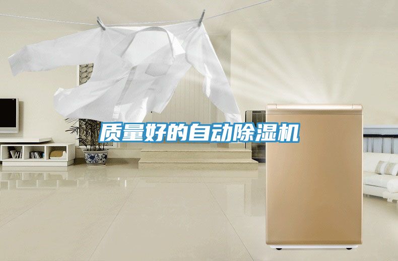 质量好的自动除湿机