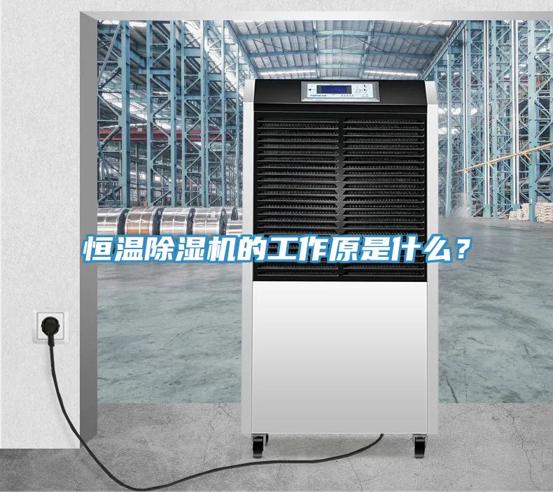恒温除湿机的工作原是什么？
