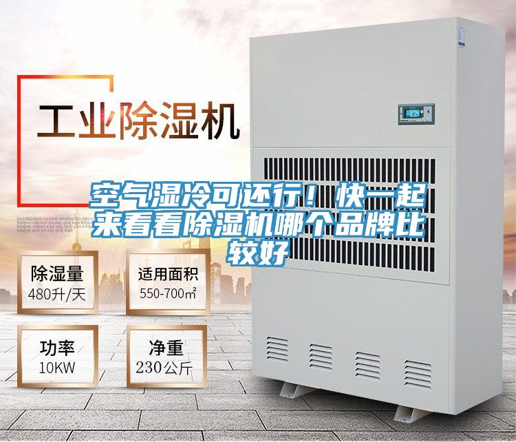 空气湿冷可还行！快一起来看看除湿机哪个品牌比较好
