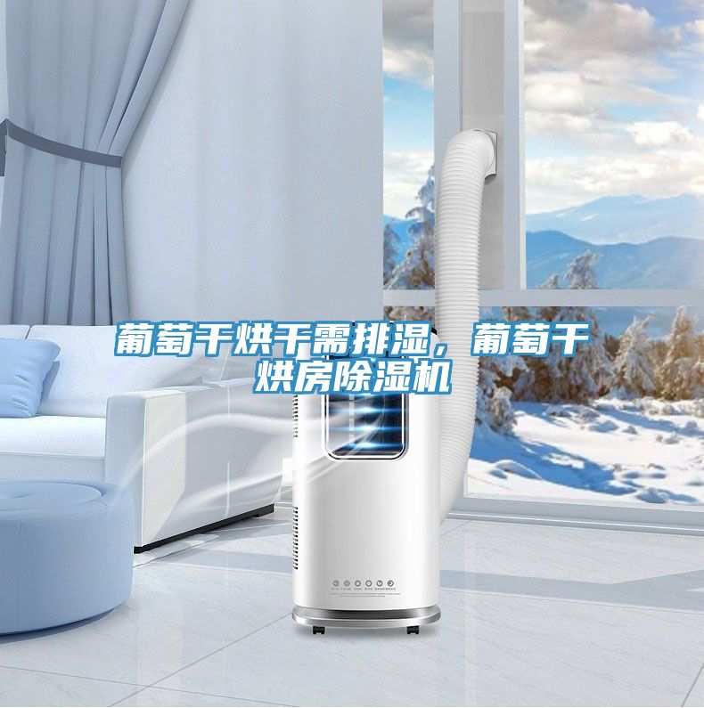 葡萄干烘干需排湿，葡萄干烘房除湿机