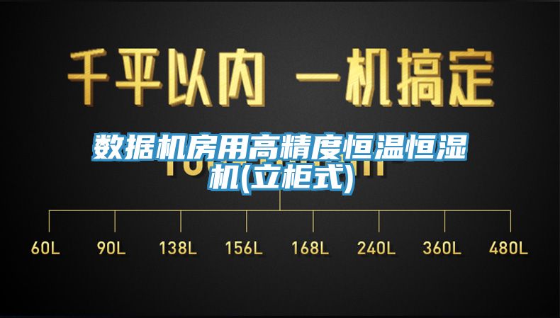 数据机房用高精度恒温恒湿机(立柜式)