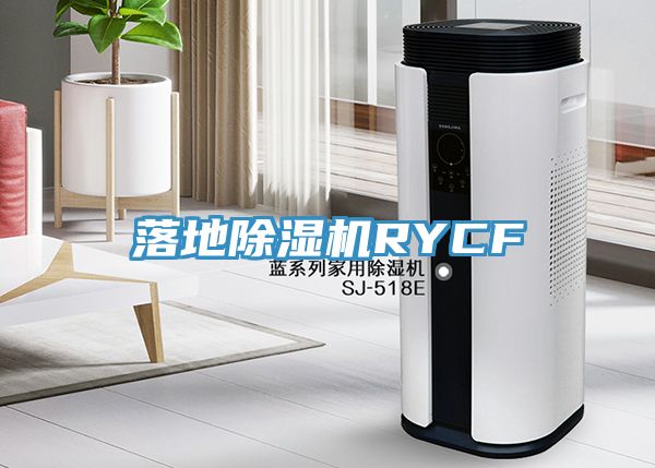 落地除湿机RYCF