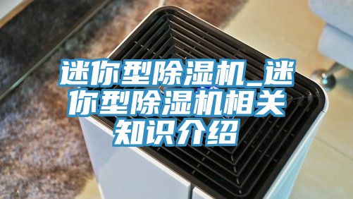 迷你型除湿机_迷你型除湿机相关知识介绍