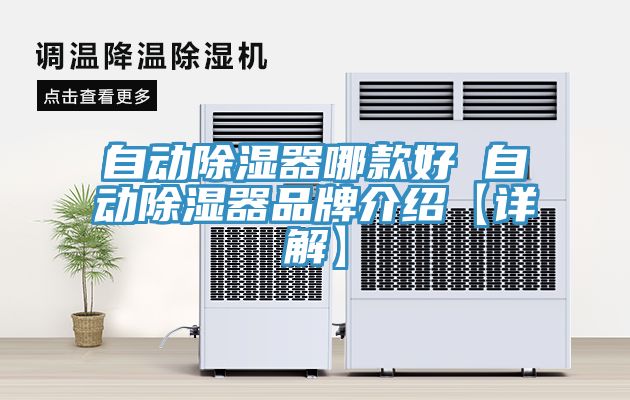 自动除湿器哪款好 自动除湿器品牌介绍【详解】