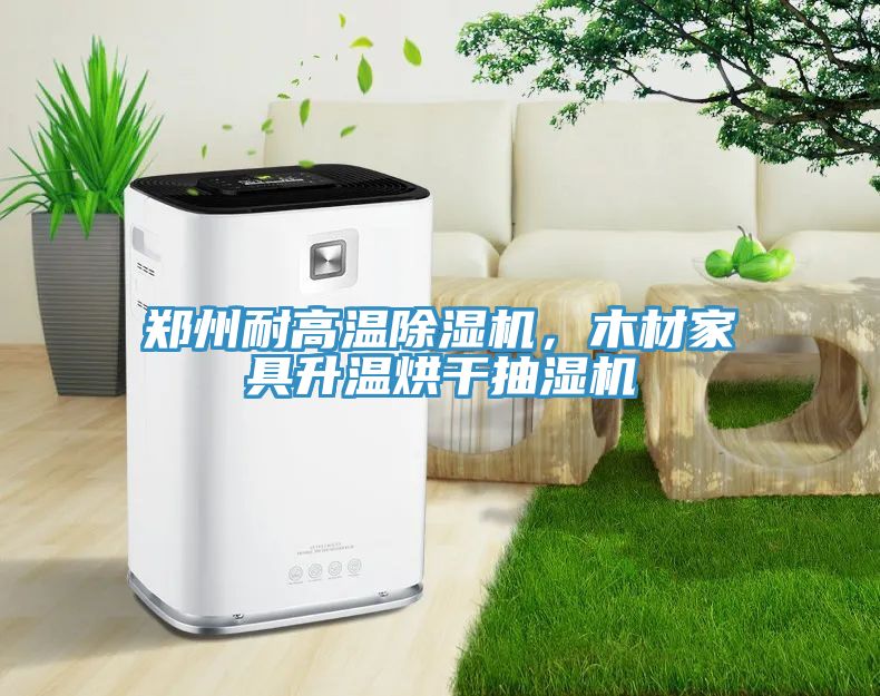 郑州耐高温除湿机，木材家具升温烘干抽湿机
