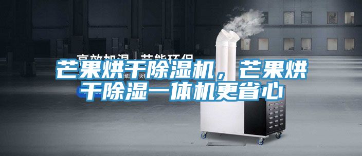 芒果烘干除湿机，芒果烘干除湿一体机更省心