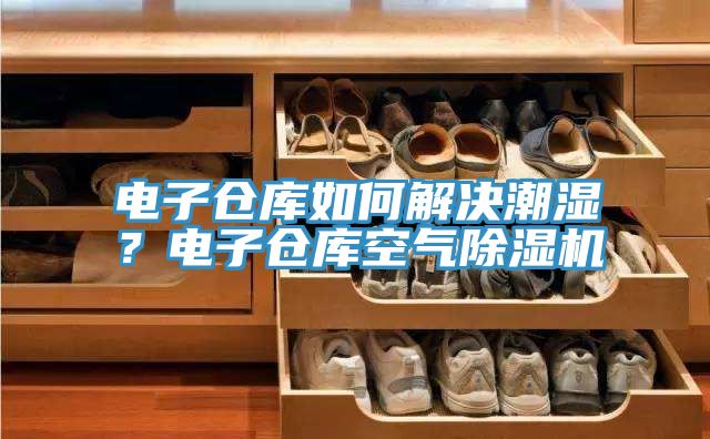 电子仓库如何解决潮湿？电子仓库空气除湿机