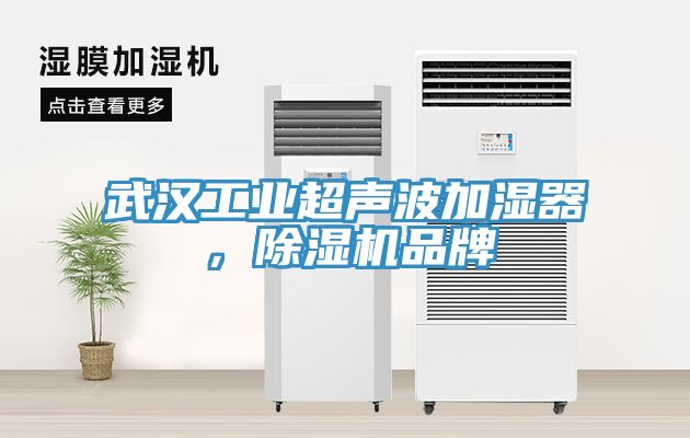 武汉工业超声波加湿器，除湿机品牌