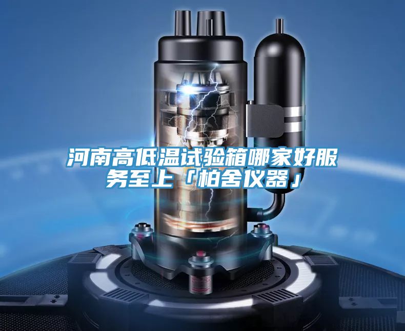 河南高低温试验箱哪家好服务至上「柏舍仪器」