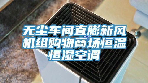无尘车间直膨新风机组购物商场恒温恒湿空调