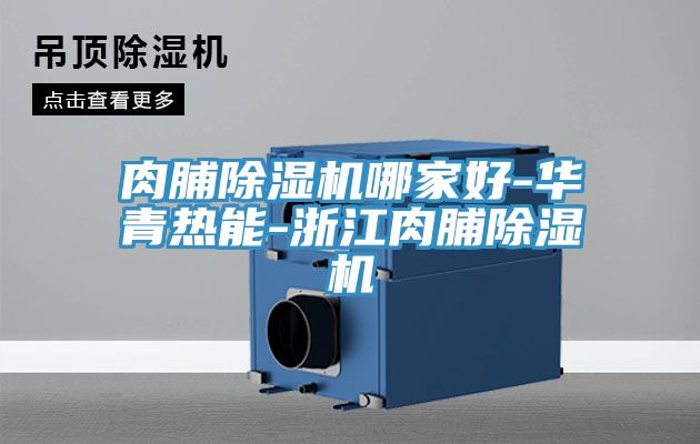 肉脯除湿机哪家好-华青热能-浙江肉脯除湿机