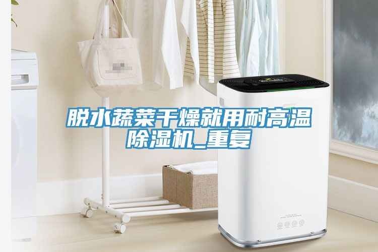 脱水蔬菜干燥就用耐高温除湿机_重复